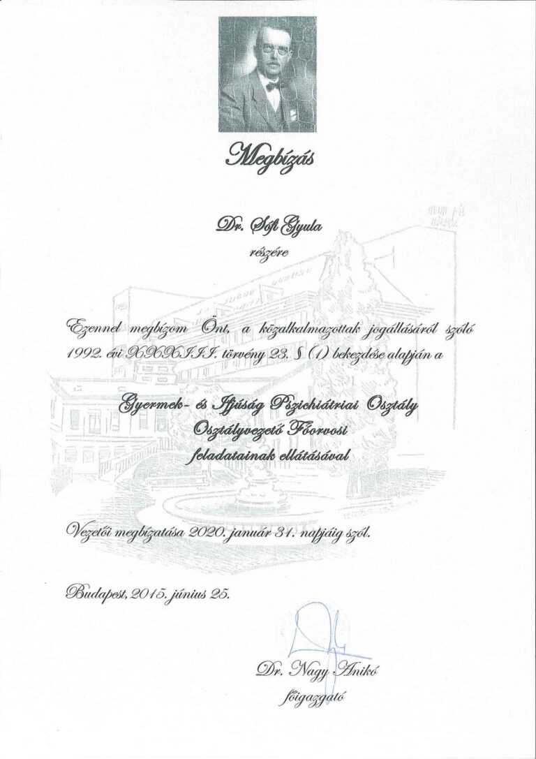 https://drsofigyula.hu/wp-content/uploads/2024/06/Osztalyvzeto-foorvosi-kimevezes_2015-768x1087.jpg